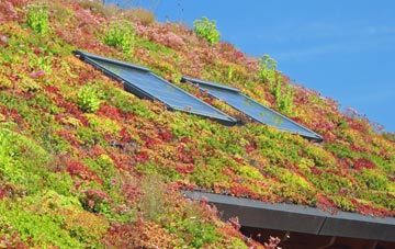 Tan Y Mynydd living roof systems