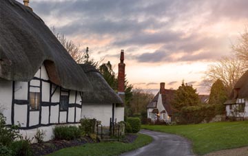 is Tan Y Mynydd thatch roofing popular
