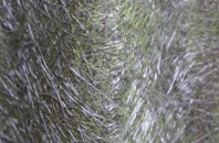 Tan Y Mynydd fibreglass roof work